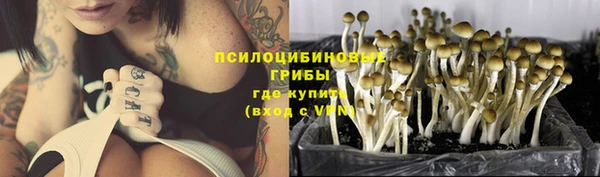 дурь Беломорск