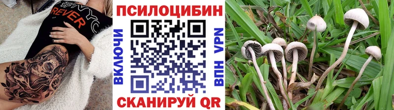 хочу наркоту  Жердевка  Галлюциногенные грибы мухоморы 